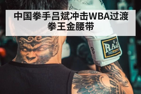 中国拳手吕斌冲击WBA过渡拳王金腰带