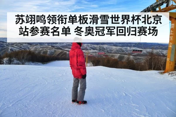 苏翊鸣领衔单板滑雪世界杯北京站参赛名单 冬奥冠军回归赛场