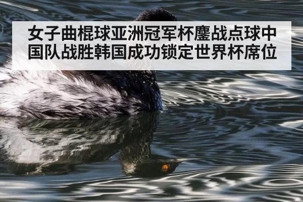 女子曲棍球亚洲冠军杯鏖战点球中国队战胜韩国成功锁定世界杯席位